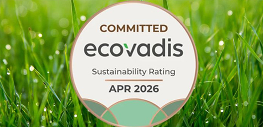 Soken Engineering Achieves EcoVadis Accreditation
